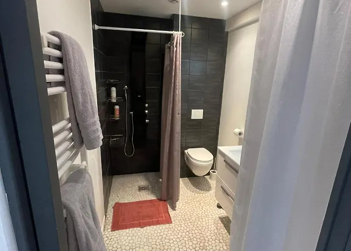 Cosy - Coeur De Apartment Agen